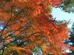 -狼山风景名胜区