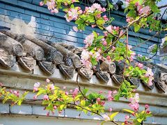 -元大都城垣遗址公园