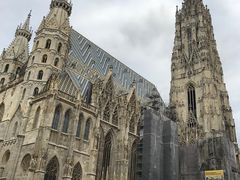 -斯蒂芬主教座堂(Stephansdom)
