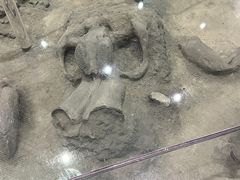 -大庆市博物馆