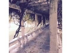 -宿迁学院