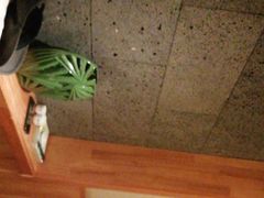 -花和海鲜自助(梅江店)