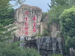 -秦皇岛野生动物园