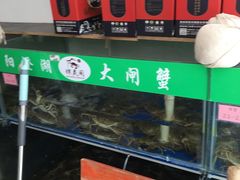 水产区-阳澄湖大闸蟹·琼灵阁牌品牌连锁(吴中总店)