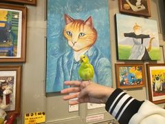 -猫咪博物馆(顶澳仔猫街店)