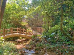 -火炉山森林公园