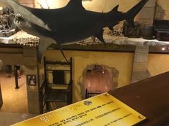 -信不信由你博物馆