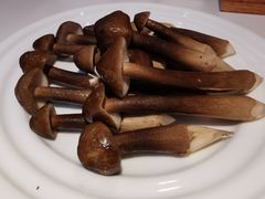 黑鸡枞菌（放入鸡汤更提鲜）-黑鸡小馆(金源店)