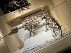 -国家自然博物馆