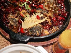 -老板恋上鱼(荣盛广场店)