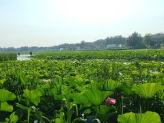 -沈阳市东陵公园