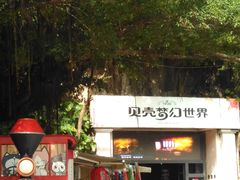 -贝壳梦幻世界
