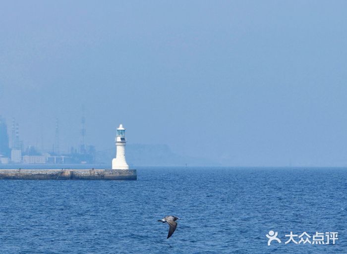 大连森林动物园图片