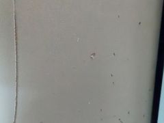 -北京索菲特大酒店