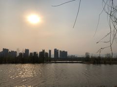 -永定河休闲森林公园