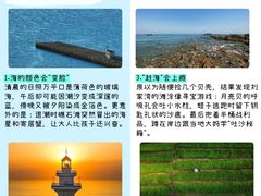 -日照海滨国家森林公园