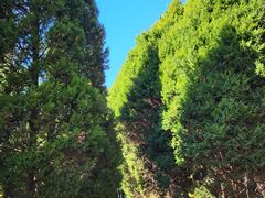 -大连植物园