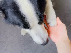 -深圳海边小筑客栈