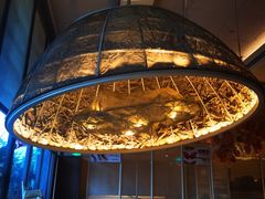 -生如夏花泰式火锅(西村黑金店)
