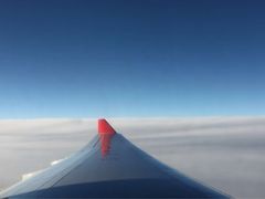 东方航空(虹桥路店)-东方航空(虹桥路店)
