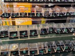 -房山世界地质公园博物馆