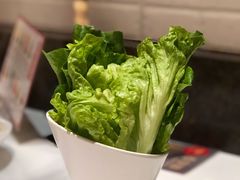 生菜-陈记顺和牛肉火锅馆(天河北路店)
