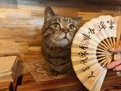 -云端咖啡私房店(河松街店)