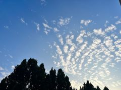 -河南财经政法大学(郑东校区)