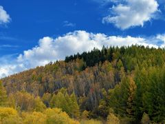 -塞罕坝国家级自然保护区