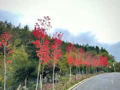 -硗碛藏寨·神木垒景区