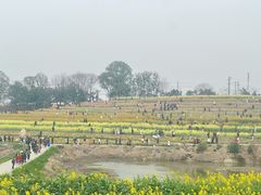 -三圣花乡旅游区