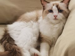 -iF摄影•全家福•证件照•形象照(南山店)