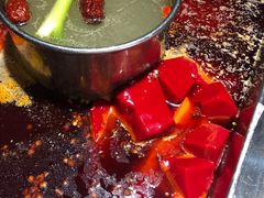 冷锅鸭血-凤来栖·净庭院·火锅(欧尚店)