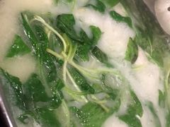-正能量脆肉鲩火锅