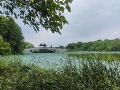 -东湖落雁景区