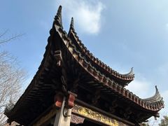 -长广溪湿地公园