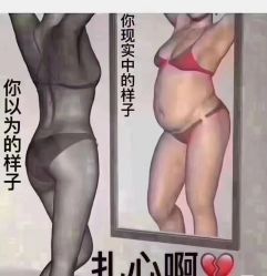 -香薇妮丝·定制减肥·身材管理