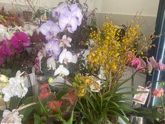 -卓花境Flowerwonderland花店