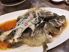 清蒸多宝鱼-海景壹号大酒店(滨湖店)