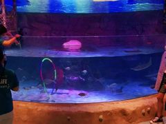 -沈阳海洋探索中心