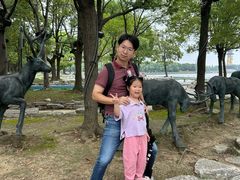 -溱湖国家湿地公园