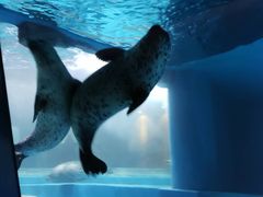 -青岛海底世界-水族馆