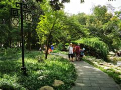 -成都市活水公园