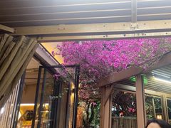 -小眼睛餐饮&杨杨夜宵