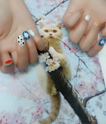 -99·MINI美甲美睫