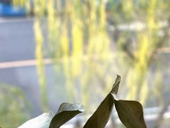 -泉乐坊步行街(烟酒特产平价超市店)