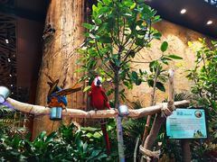 -杭州开元森泊度假乐园