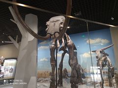 -国家自然博物馆