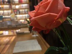 -猫的天空之城概念书店(杭州南宋御街店)