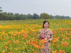 -汉长安城未央宫国家考古遗址公园